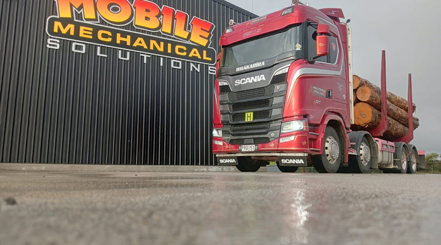 Happy New Year: January Updates