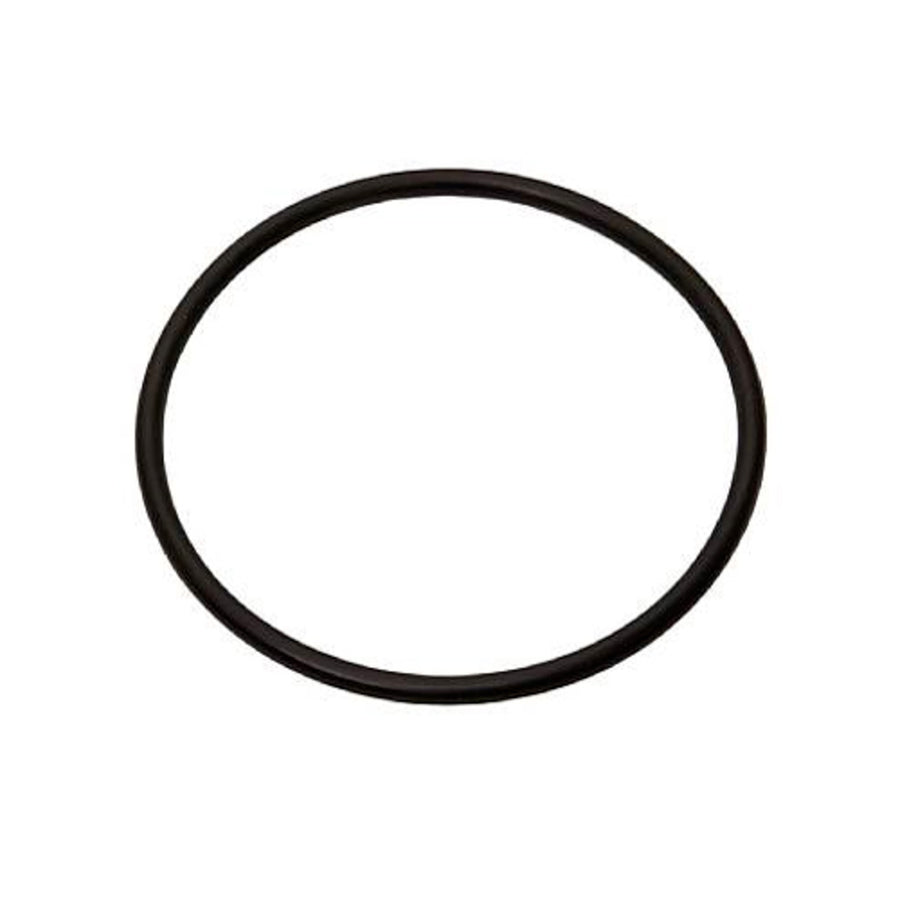 20502536 Sealing Ring